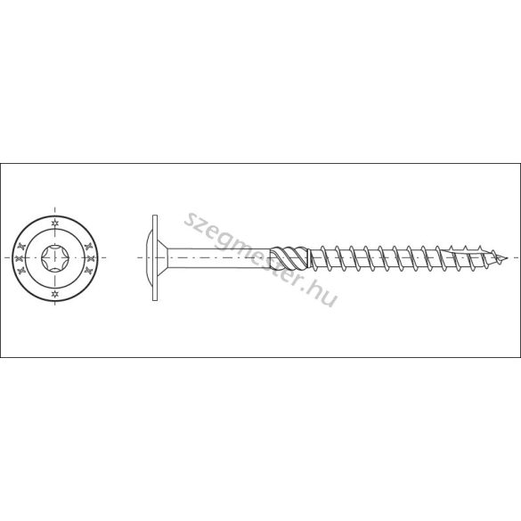 Faszerkezet építő csavar 10x100mm laposfejű TX40 